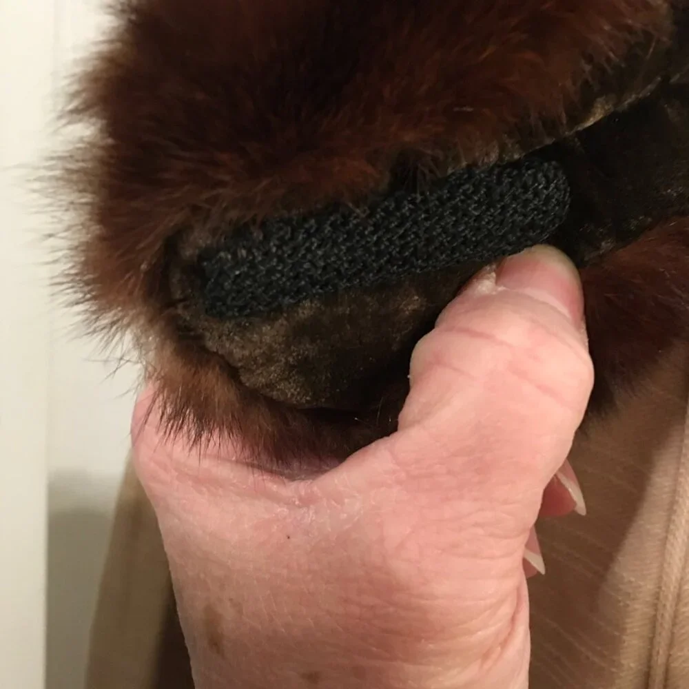 Vintage Beth Fritz of The Drake Chicago Fur Stole/Collar